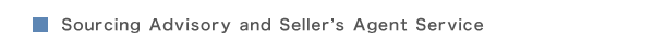 Sourcing Advisory and Seller’s Agent Service
